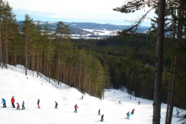 Sportlovsresa till Järvsö